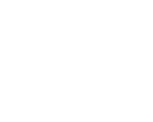 SRIC
